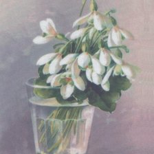 Схема вышивки «подснежники»