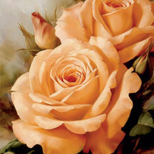 Схема вышивки «розы»