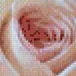 Предпросмотр схемы вышивки «розы» (№478333)