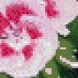 Предпросмотр схемы вышивки «Герань двухцветная» (№478334)