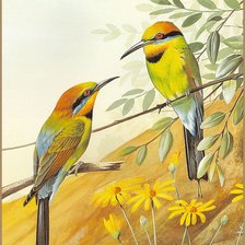 Схема вышивки «Серия "Птицы"»