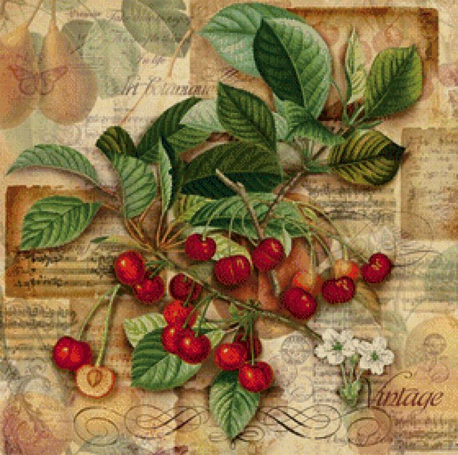 вишни - фрукты, кухня - предпросмотр