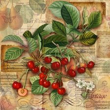 Схема вышивки «вишни»