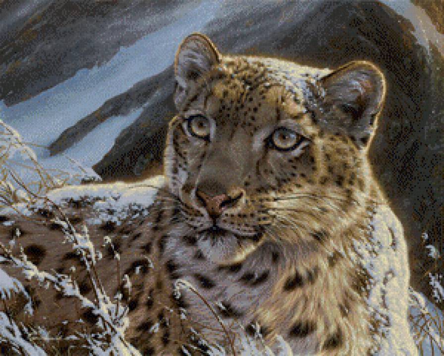 Серия "Большие кошки" - снежный барс, животные, ирбис, зима, кошки - предпросмотр