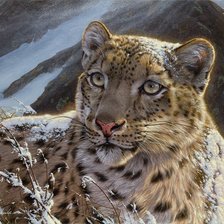 Схема вышивки «Серия "Большие кошки"»