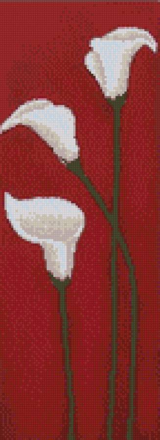 Каллы на красном фоне - каллы, на красном, белые - предпросмотр