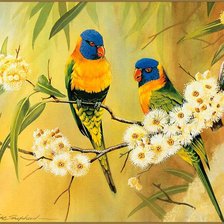 Схема вышивки «Серия "Птицы"»