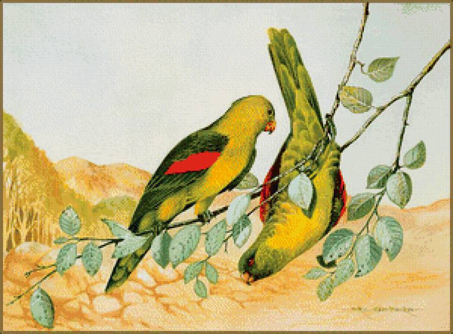 Серия "Птицы" - птицы, попугаи - предпросмотр