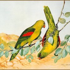 Схема вышивки «Серия "Птицы"»