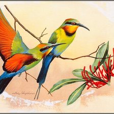 Схема вышивки «Серия "Птицы"»