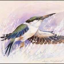 Схема вышивки «Серия "Птицы"»