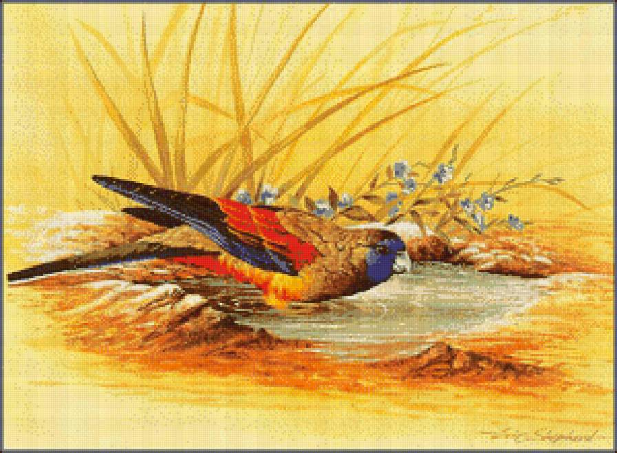 Серия "Птицы" - попугаи, птицы - предпросмотр