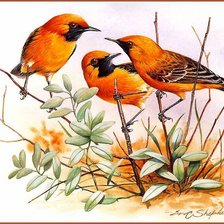 Схема вышивки «Серия "Птицы"»