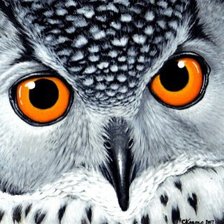 Схема вышивки «Серия "Птицы"»