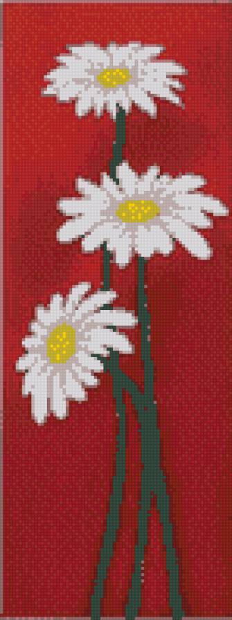 Белые ромашки на красном фоне - ромашки, белые, на красном - предпросмотр