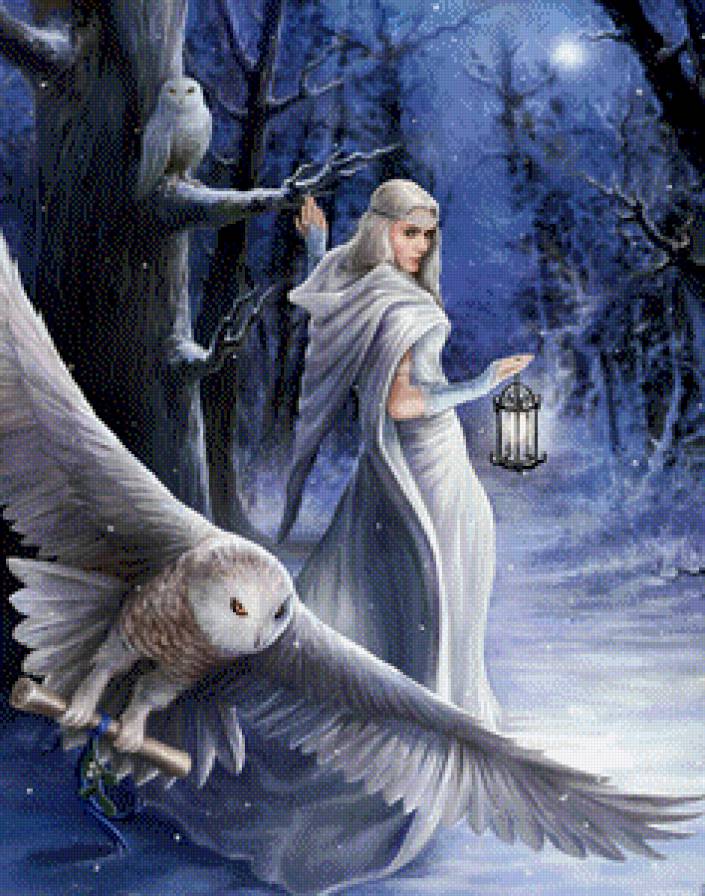 Магия ночи - фэнтези, совы, магия, ночь - предпросмотр