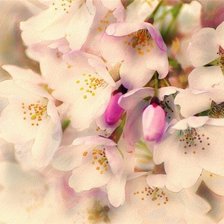 Схема вышивки «№478541»