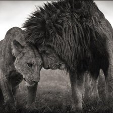 Схема вышивки «№478611»