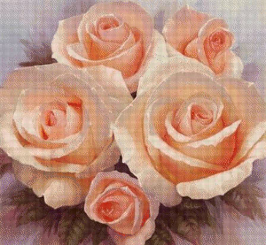 Růže - květiny - предпросмотр