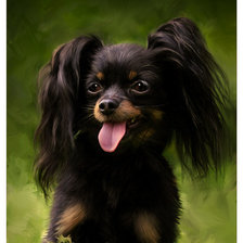 Схема вышивки «№478723»