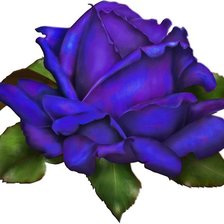 Схема вышивки «№478735»