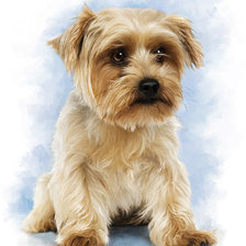 Схема вышивки «№478749»