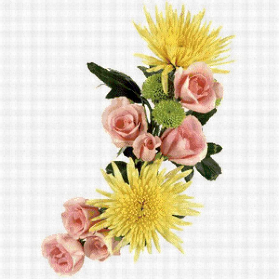 Роза - букет, цветы, хризантема, розы - предпросмотр