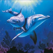 Схема вышивки «Дельфины»