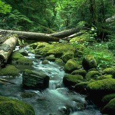 Схема вышивки «Лесная река»