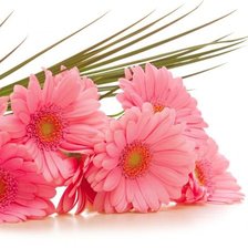 Схема вышивки «Цветы»