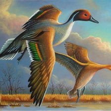 Схема вышивки «№478994»