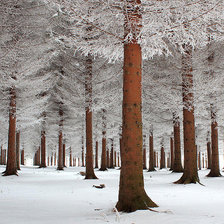 Схема вышивки «№478997»