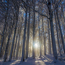 Схема вышивки «№479023»