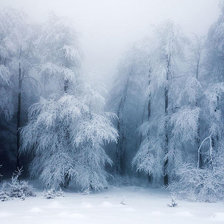 Схема вышивки «№479025»