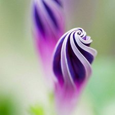 Схема вышивки «№479056»