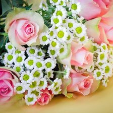 Схема вышивки «№479077»