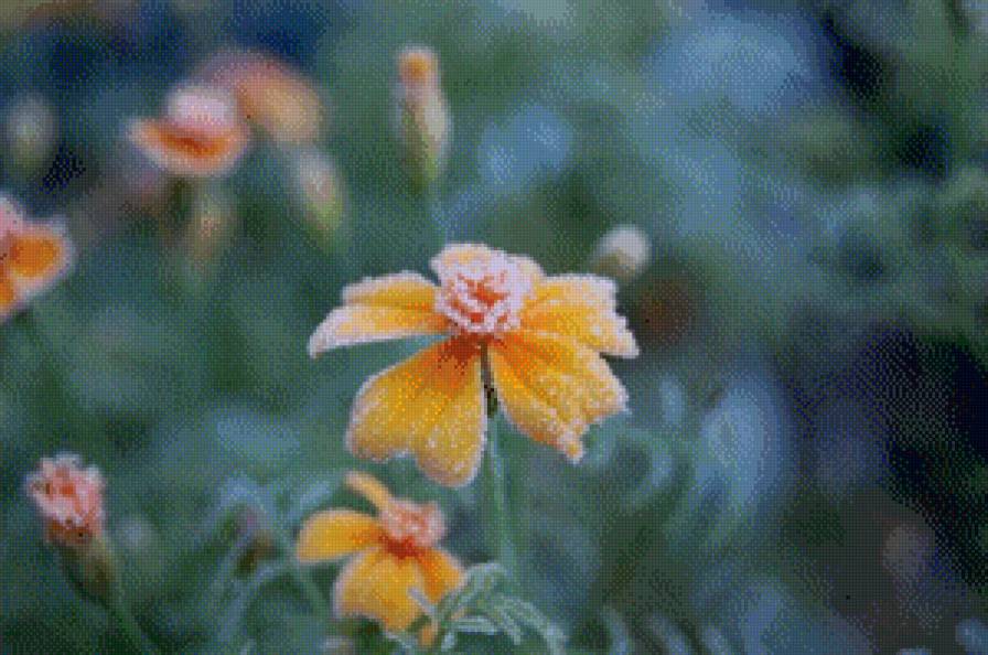 №479087 - предпросмотр