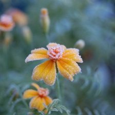 Схема вышивки «№479087»