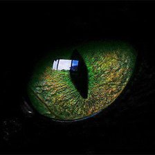 Схема вышивки «Взгляд»