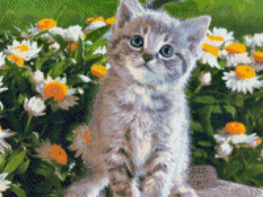 №479195 - предпросмотр