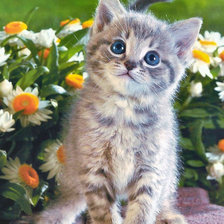 Схема вышивки «№479195»