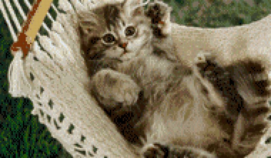 №479198 - предпросмотр