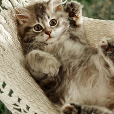 Схема вышивки «№479198»