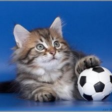 Схема вышивки «№479208»