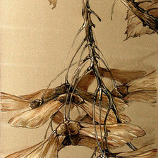 Схема вышивки «Ветка клёна. Семена.»