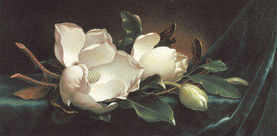 №479256 - оригинал