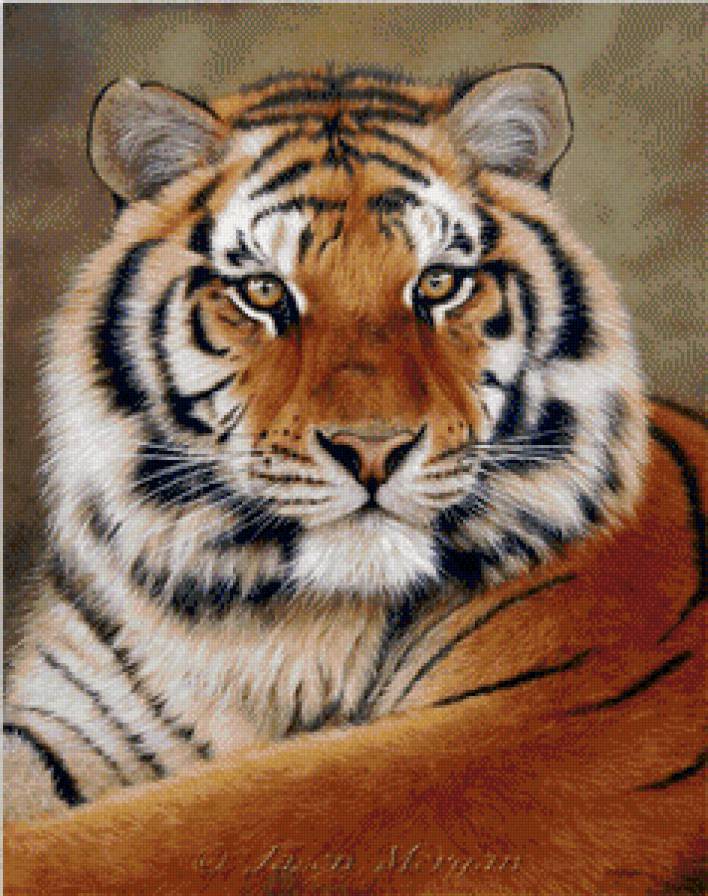 Еще один тигр - грация, тигр, кошки - предпросмотр