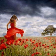 Схема вышивки «Маковое поле»