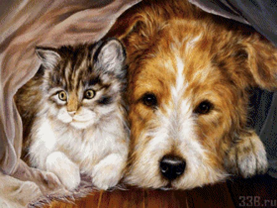 друзья - предпросмотр