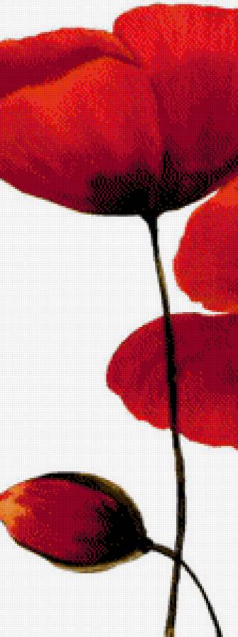 Триптих Маки часть 1 - маки, цветы, .триптих - предпросмотр